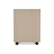 Axiom File Cabinet - Furniture City (CA)l