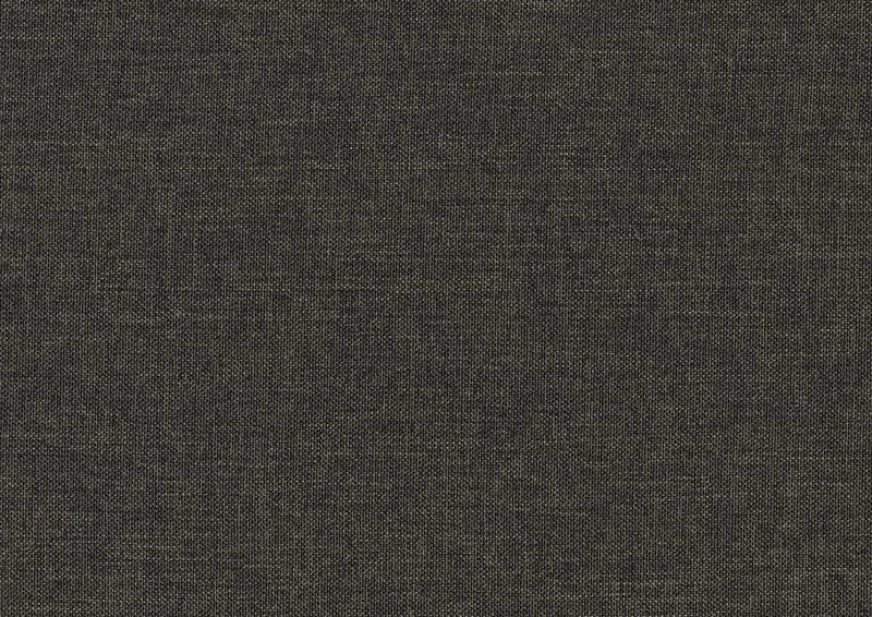 vining-dark-gray-2-daybed-with-trundle-6