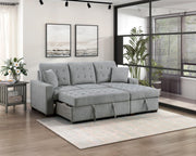 waitsfield-gray-2-2-piece-sectional-with-right-chaise-pull-out-bed-and-hidden-storage-6