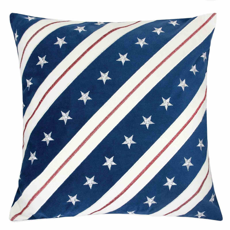 washton-20-x-20-pillow-2-ctn-1