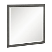 wittenberry-mirror-1