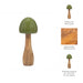 wood-10-coned-mushroom-olive-8