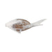 wood-11-flounder-fish-natural-white-6