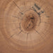 wood-25x16-coffee-table-stump-natural-5