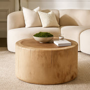 wood-25x16-coffee-table-stump-natural-8