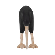 wood-7-kiwi-bird-w-natural-legs-black-3