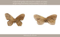 wood-9-butterfly-deco-brown-12