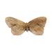 wood-9-butterfly-deco-brown-2